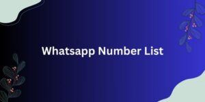 Whatsapp Number List